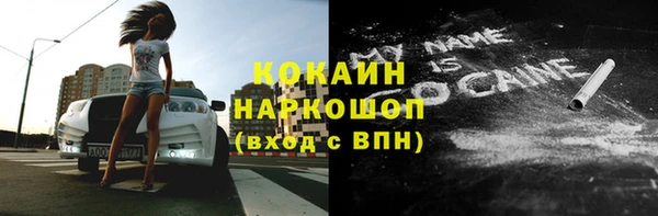 мдпв Рославль
