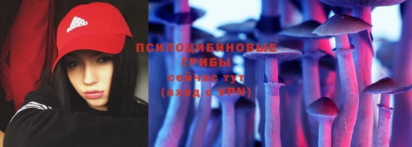 эйфоретик Алзамай
