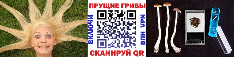 Галлюциногенные грибы ЛСД  закладки  Задонск 
